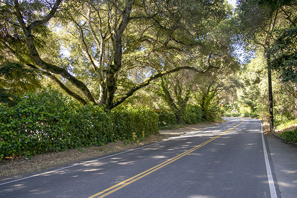 A Santa Cruz Mountains Loop The ExhaustNotes Blog