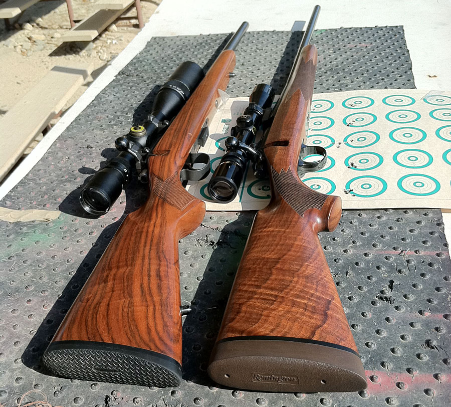 The Rimfire Series: A Tale of Two .22s