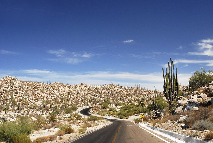 The Wayback Machine:  Seven Favorite Baja Destinations