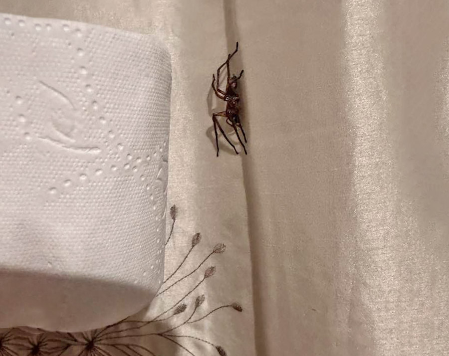 The Wayback Machine:  Toxic Masculinity